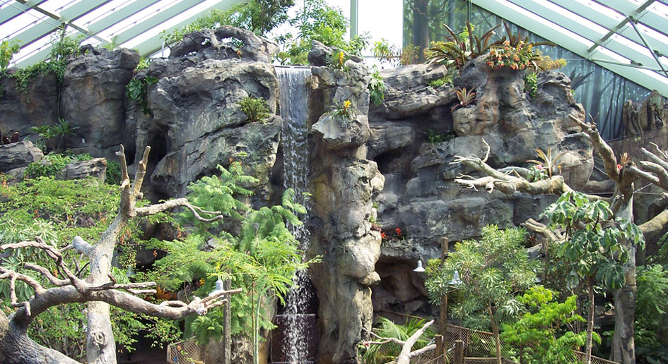 South American Rain Forest Exhibit – Buffalo Zoo - Resetarits Construction