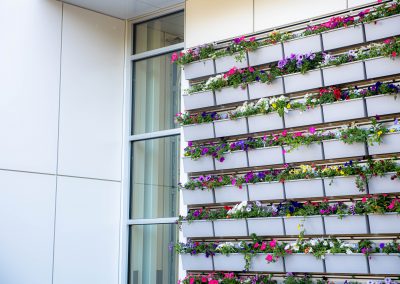 Plant Wall